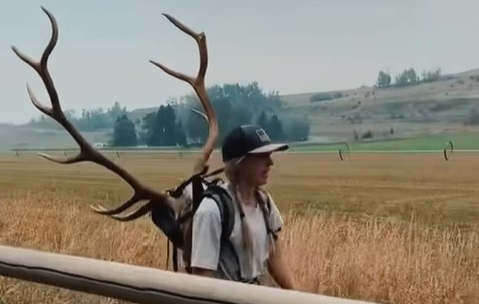 Five Types of Hunters