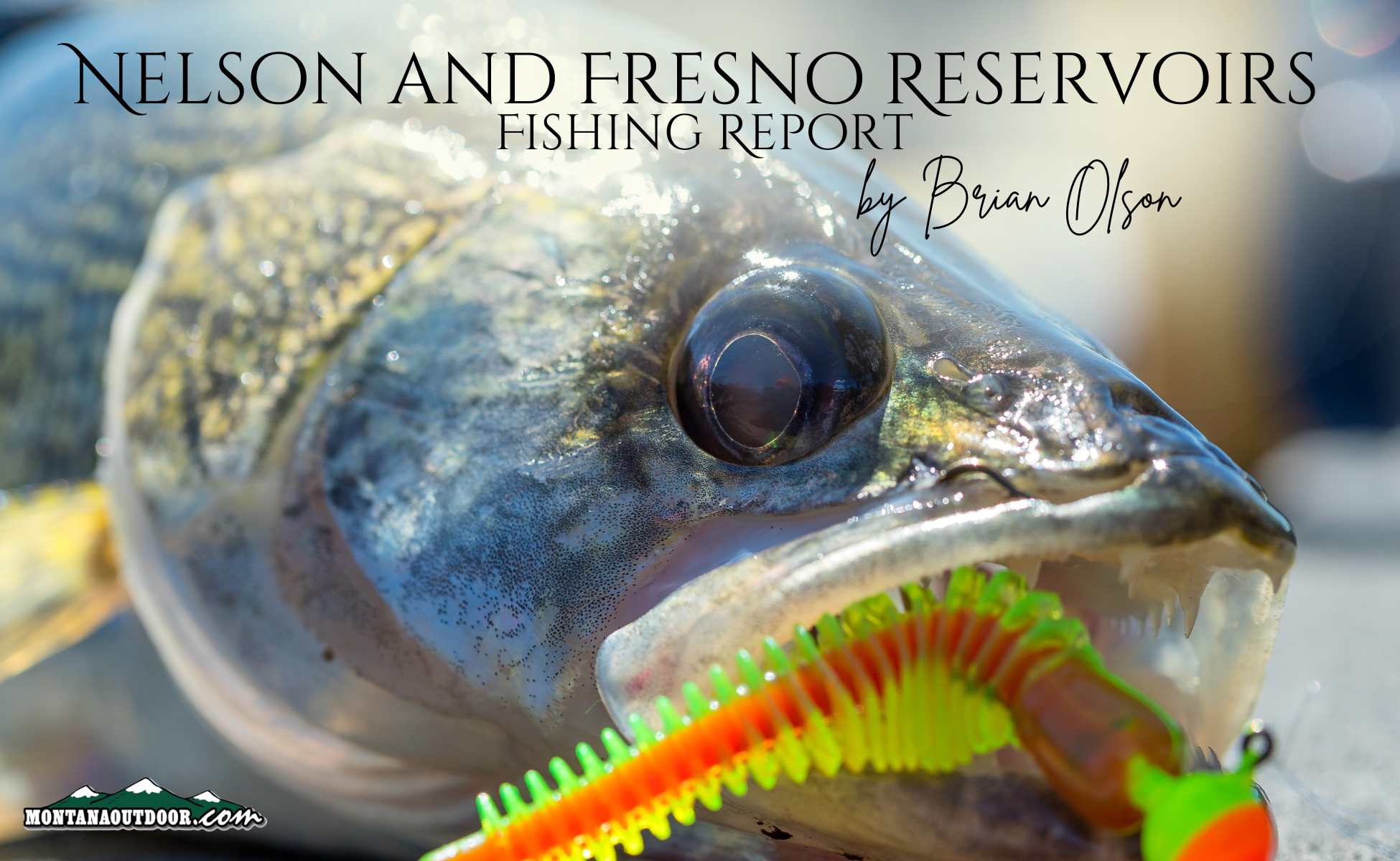 Fresno and Nelson Fishing Report by Brian Olson 7.12.24