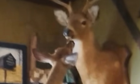When things get weird in your house…