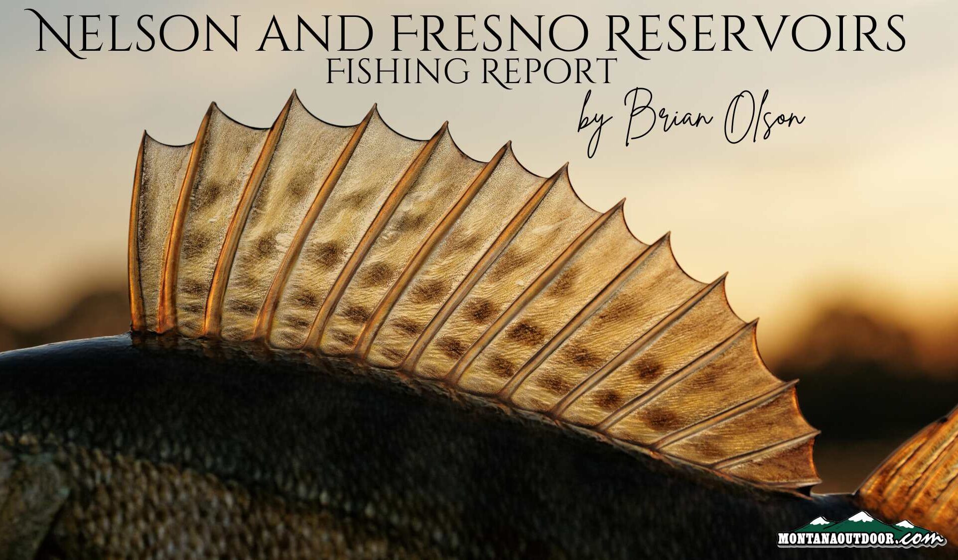 Fresno and Nelson Reservoir Fishing Report 5.1.24