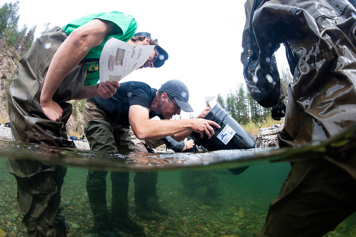 UM LEADS WITH FISHERIES EDUCATION AND RESEARCH