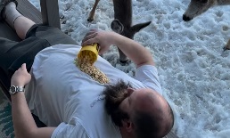 Feeding wildlife is never a good idea…regardless of how you do it