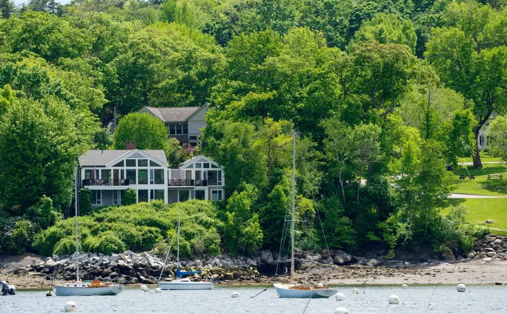 Ocean View Feud: Tree Poisoning Sparks Legal Battle in Maine