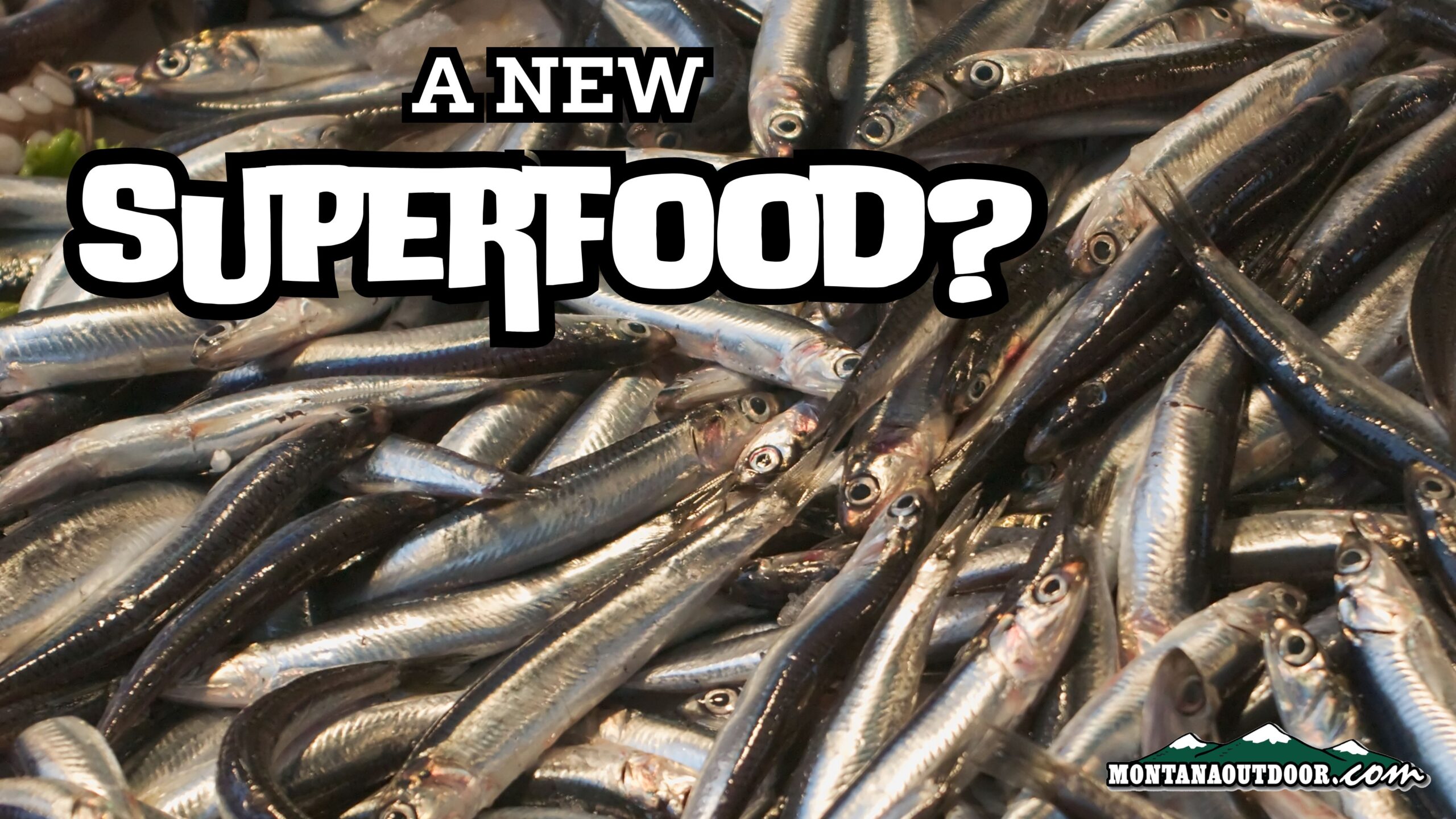 Small Fish a New Superfood?