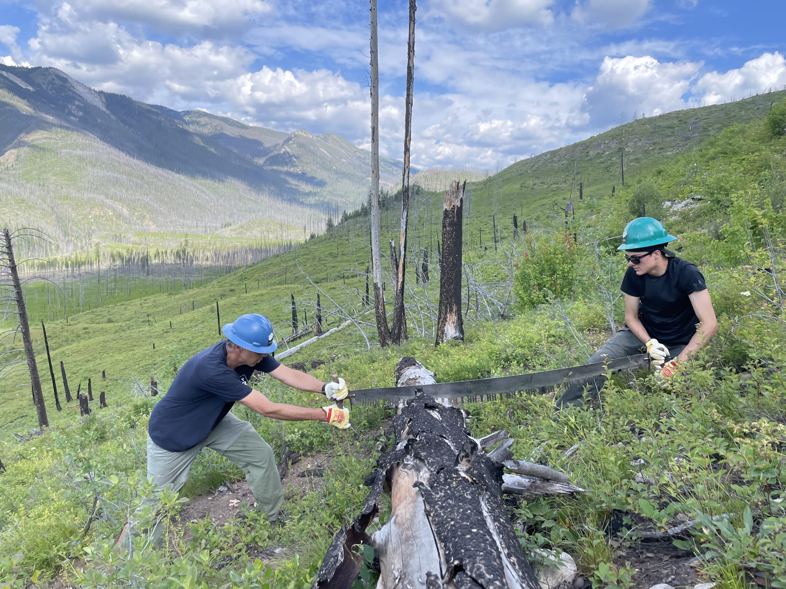 The Bob Marshall Wilderness Complex Needs Your Help!