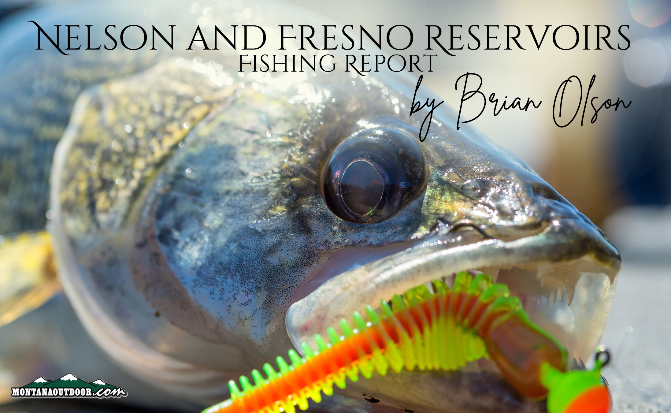 Fresno and Nelson Reservoirs Fishing Report by Brian Olson 6.21.24