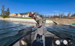 Dipping a Double
