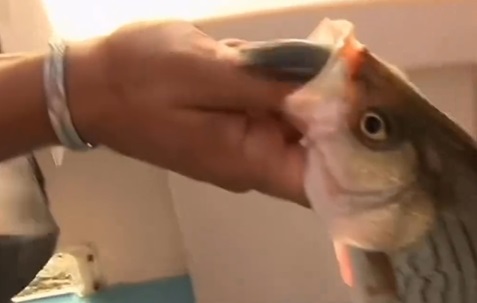 When fishing turns freaky…