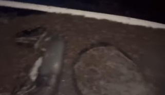 When the hatch happens