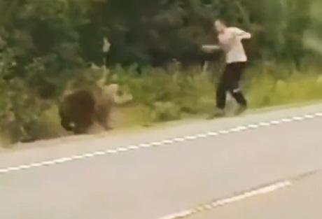 A Dose of Dumb for Your Monday