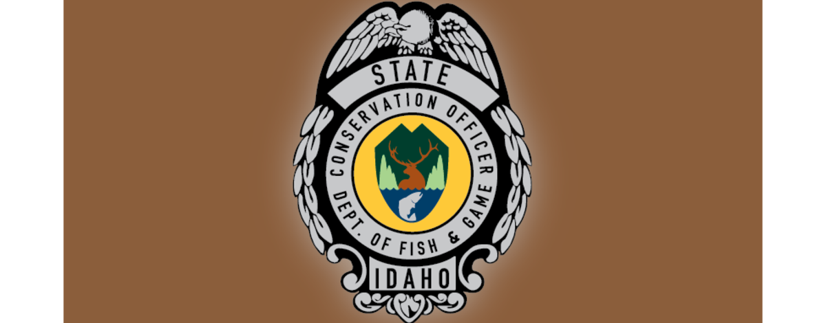 F&G officer dispatches black bear near large public event in Riggins