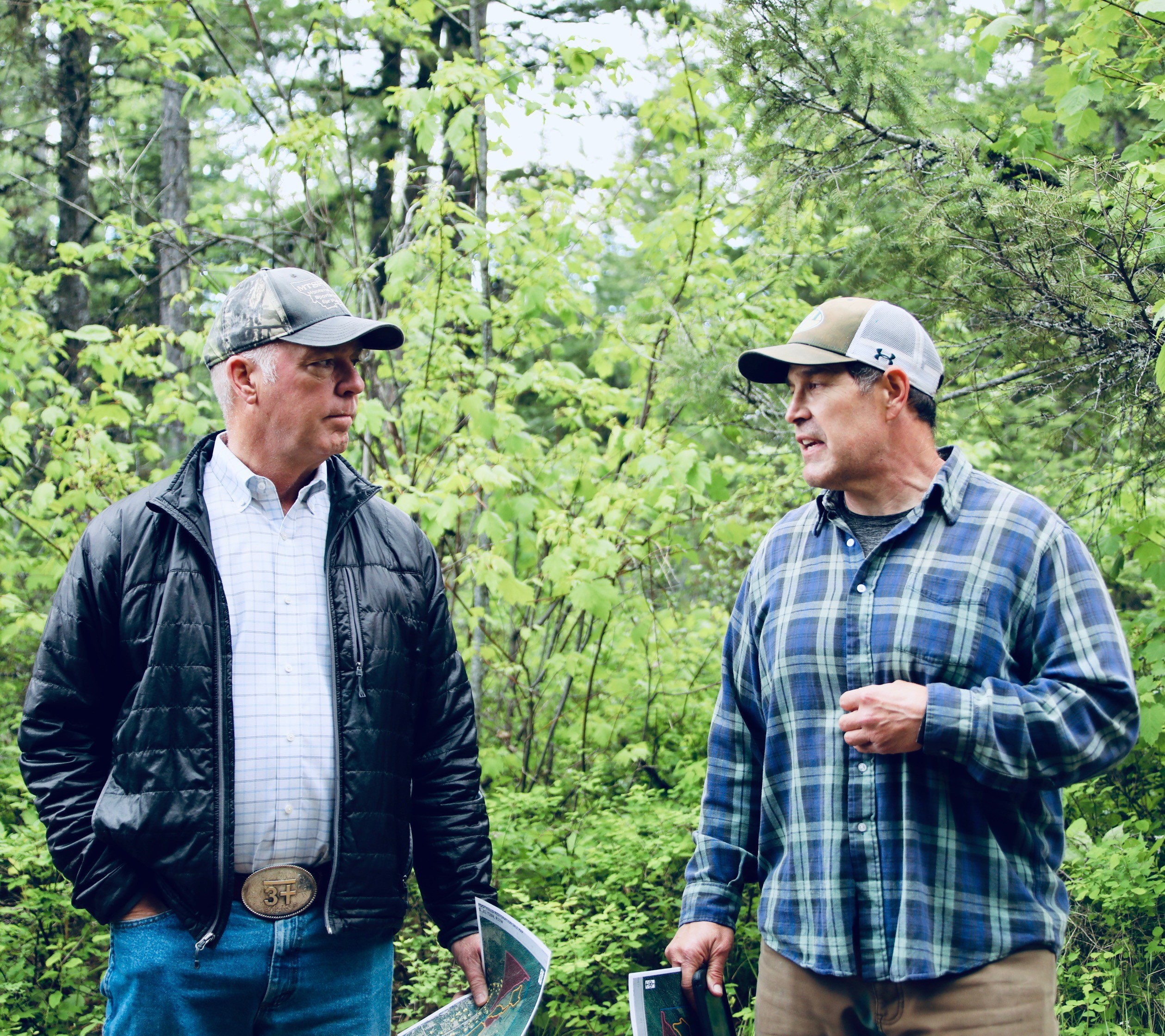 Governor Gianforte: Active Forest Management Reduces Wildfire Risk, Fuels Timber Production