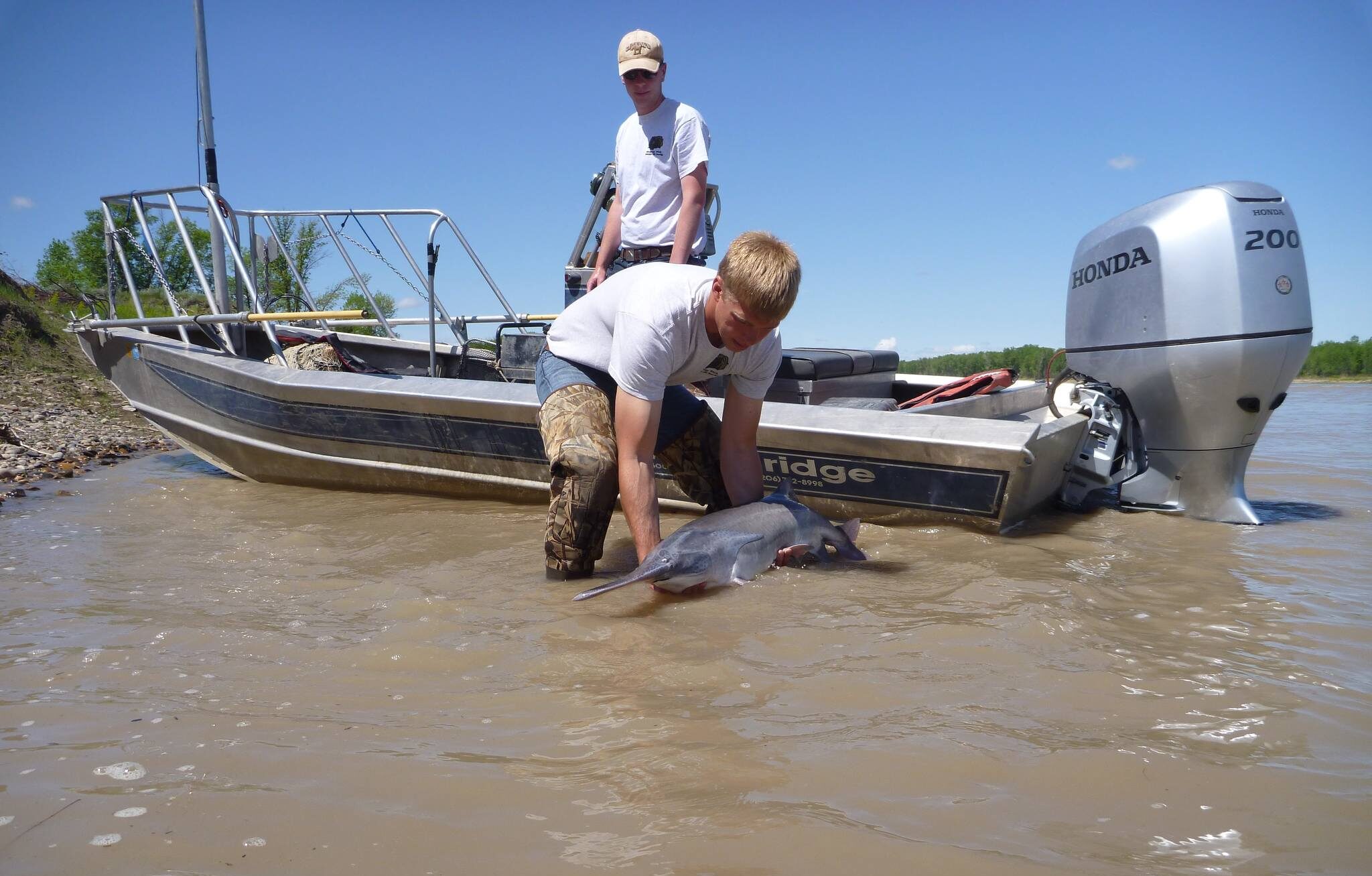 FWP Paddlefish Update 6.20.24