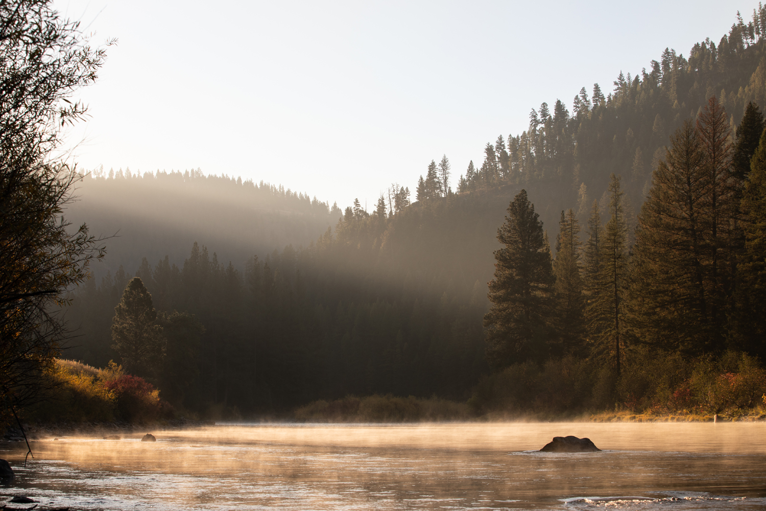 Finding a Balance: UM Student Research Supports BLM Efforts on Blackfoot River