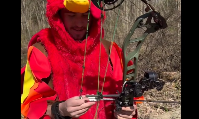 When Animals Use Decoys for Humans