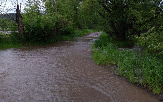 FWP News: Vehicle access temporarily closed at Whitebird Fishing Access Site due to flooding