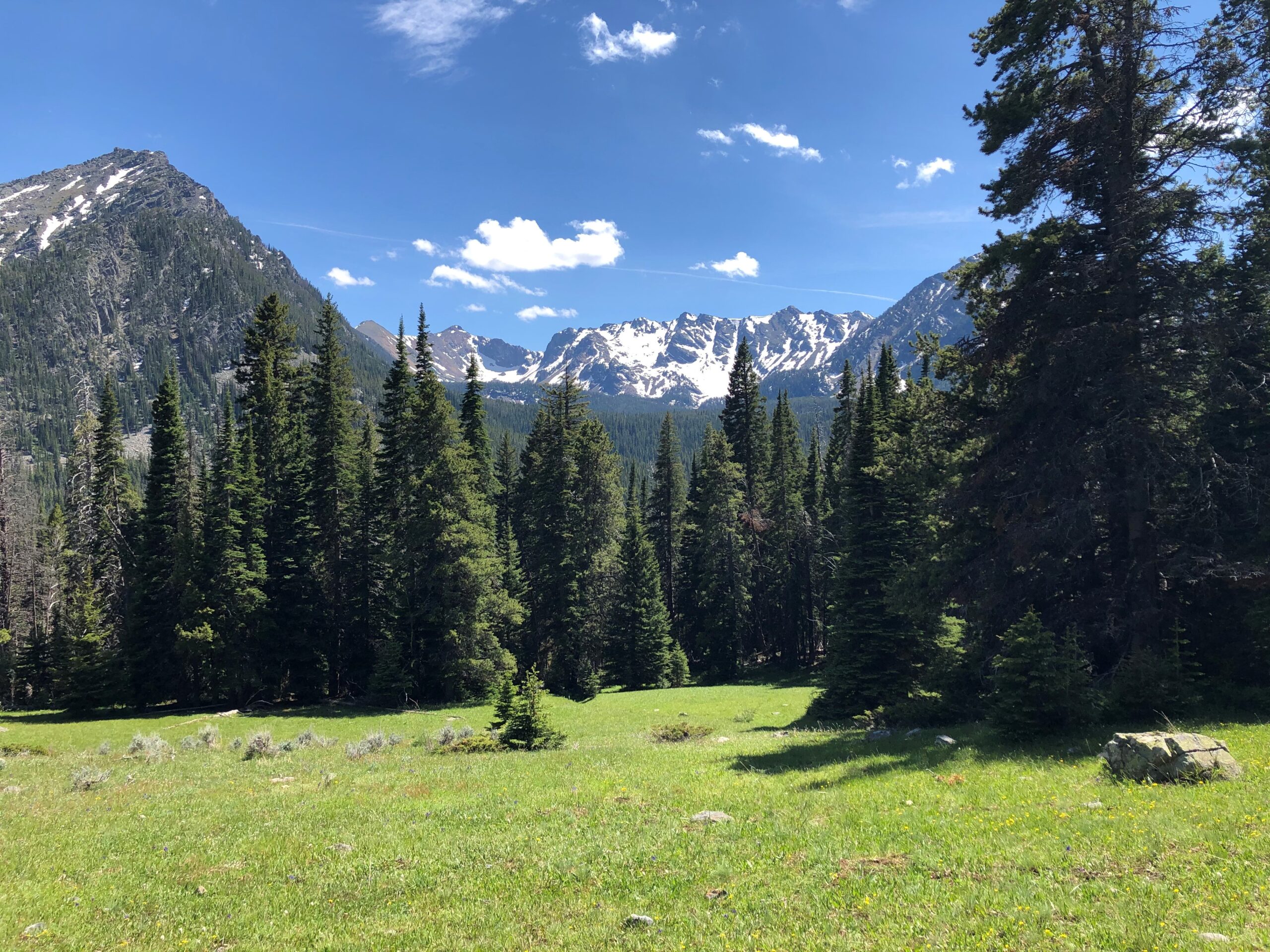 Beaverhead-Deerlodge National Forest completes land acquisition in Tobacco Root Mountains