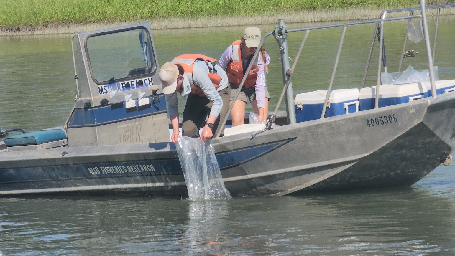 FWP News: Pallid Sturgeon Larval Drift Study