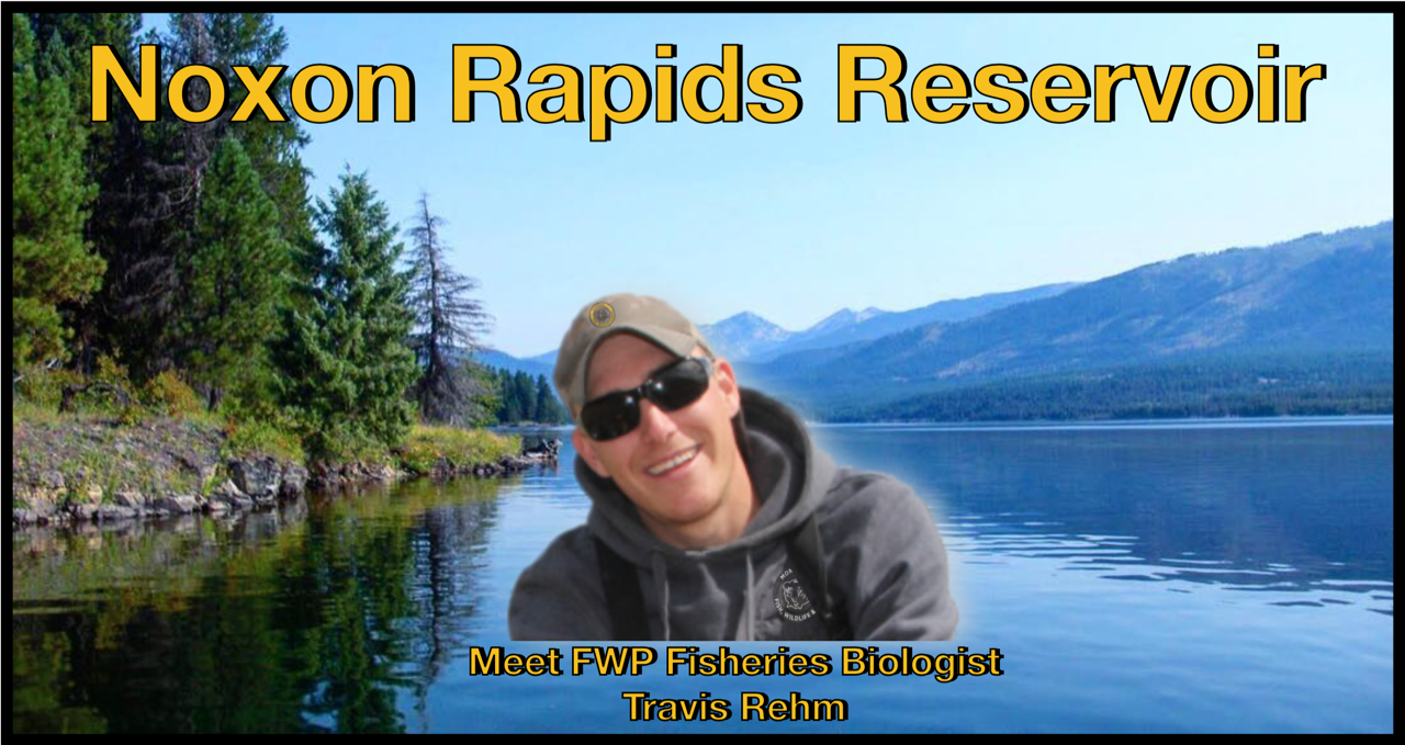 MT Outdoor Podcast Searches for Facts About Noxon Rapids Reservoir and the  Health of its Fish!