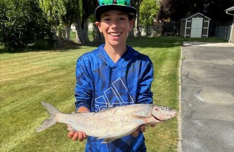 Whitefish Bite is Good!