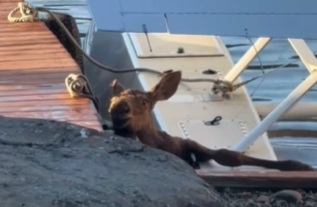 Sucks being Stuck!