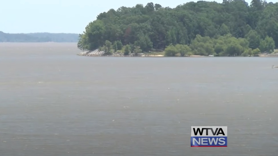 Reel Heroes: State Farm Agents’ Fishing Trip Ends with 38-Dog Rescue