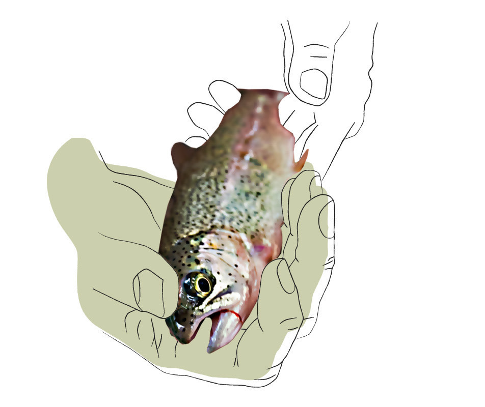HANDS ON FISHING!!! by Montana Grant
