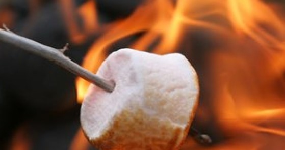S’MORE FUN!!! by Montana Grant