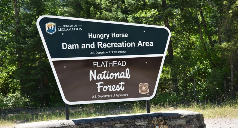 Black bear euthanized after repeated conflicts at Hungry Horse Reservoir campgrounds