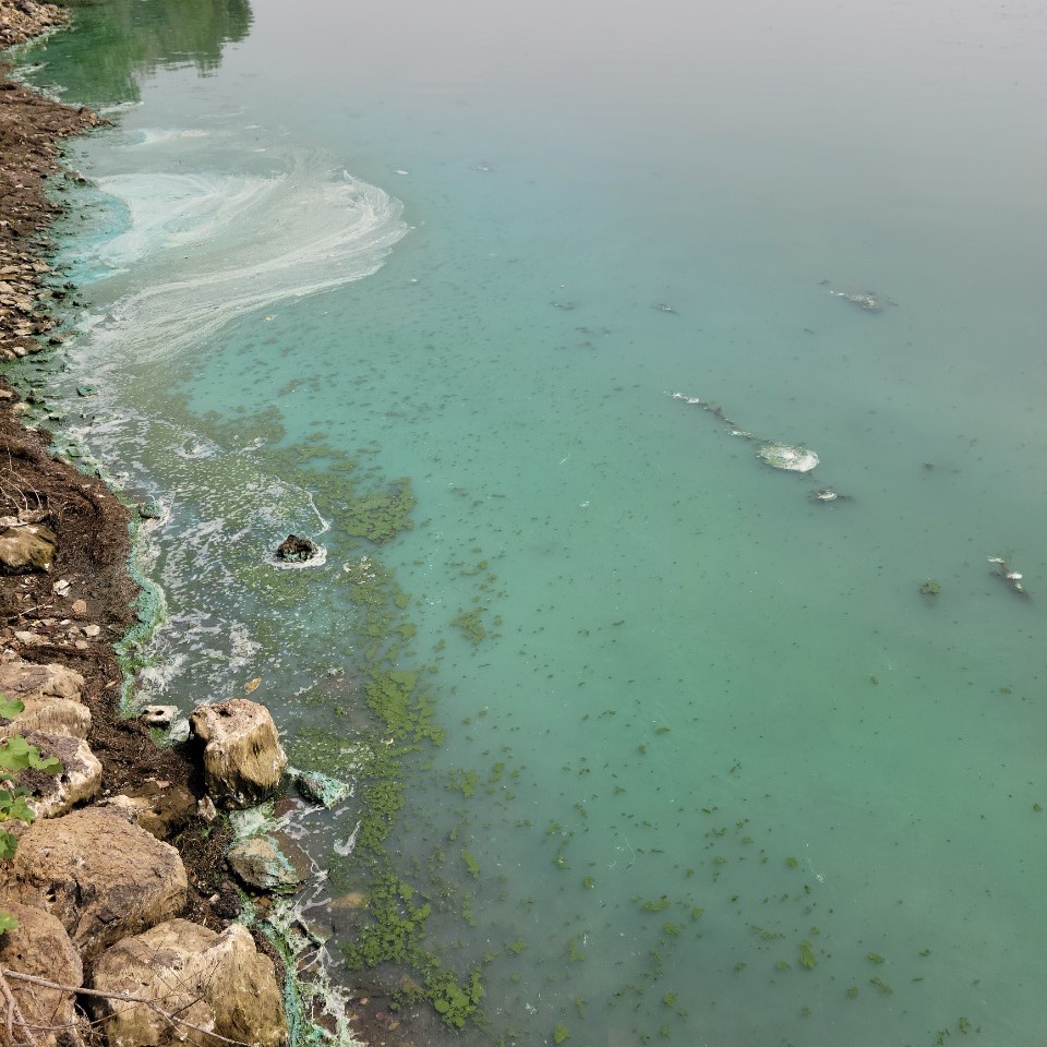 Montana DEQ confirms new harmful algae blooms