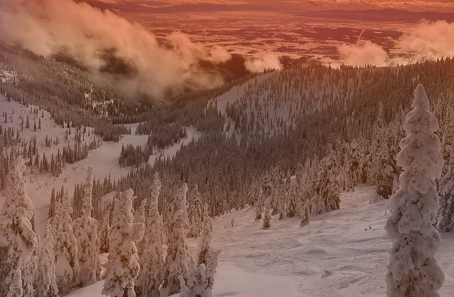 How to Survive Montana