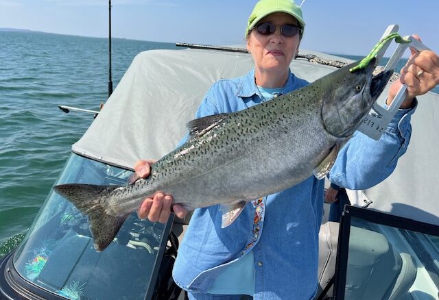 Mastering Salmon Season: Proven Tips and Tools by Don Wilkins for Big Catches 8.16.24