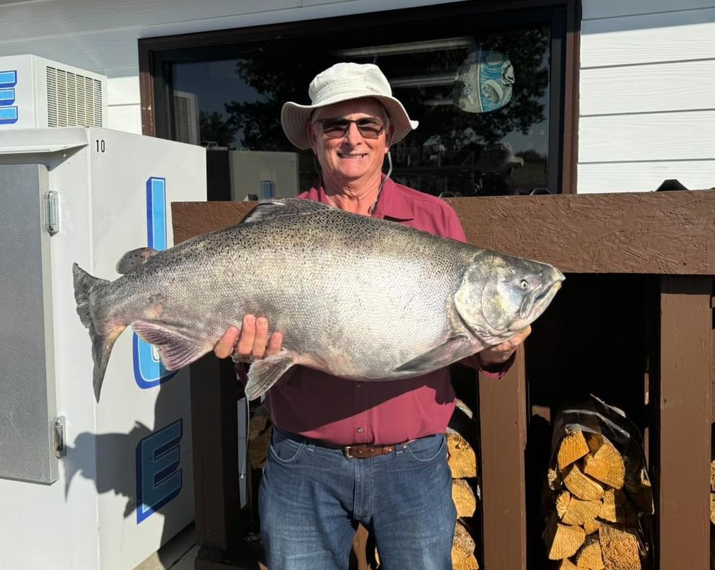 Possible New state record salmon out of Fort Peck