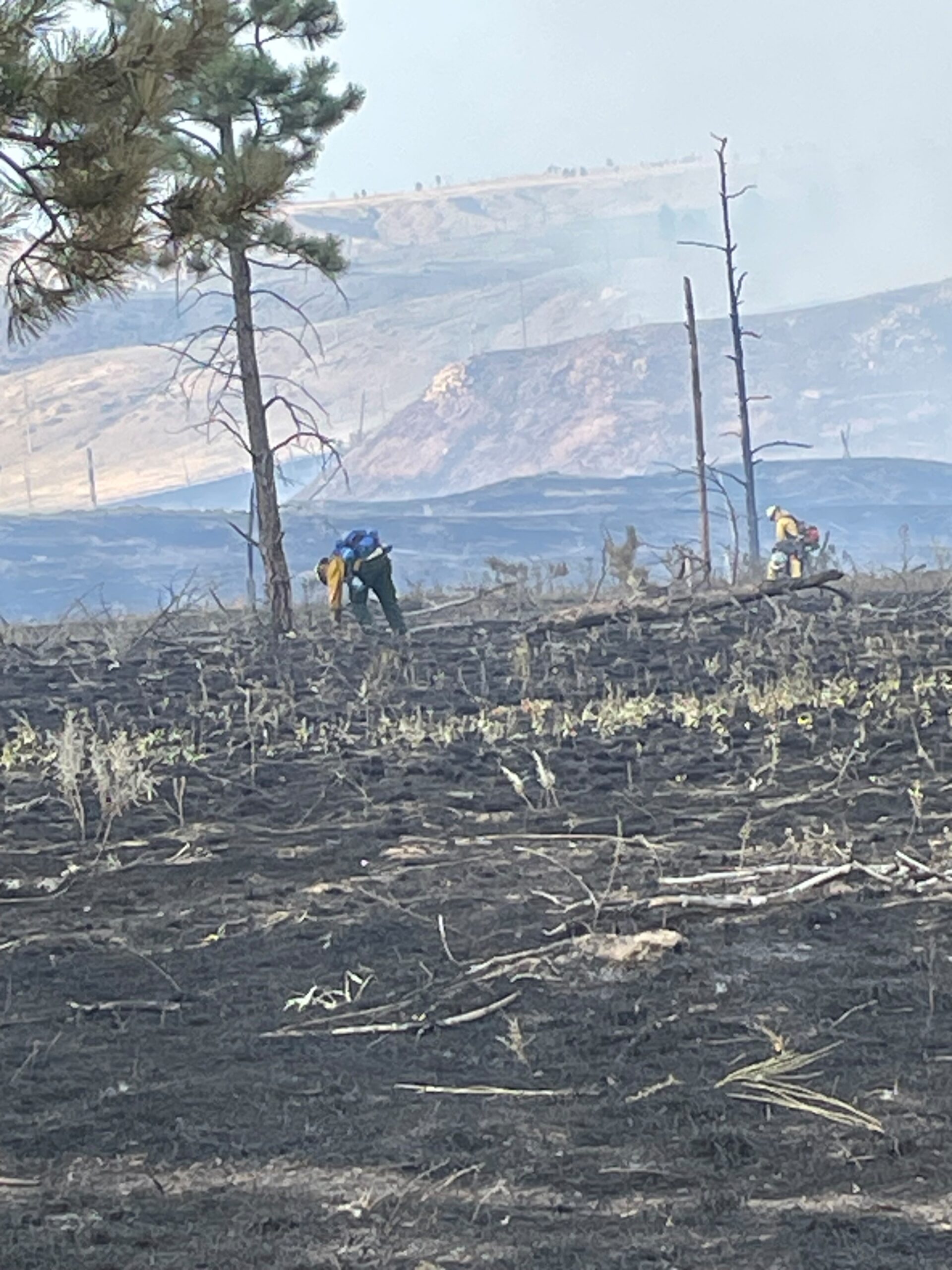 Update on Multiple Fires Burning on the Custer Gallatin National Forest