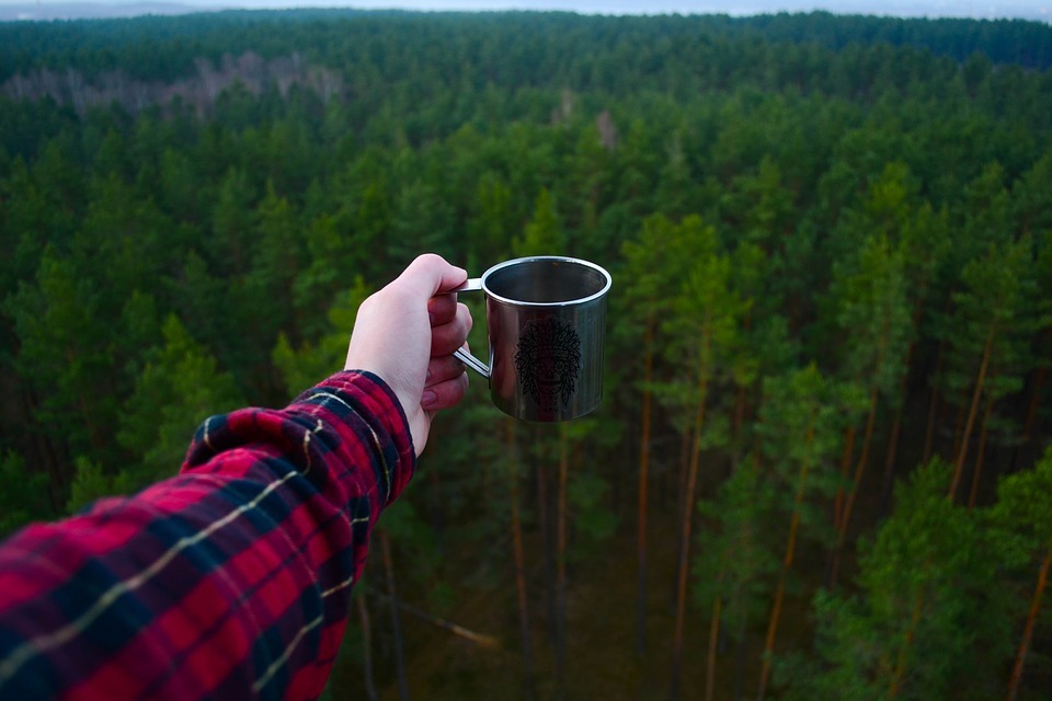 WILD TEAS PLEASE!!! by Montana Grant