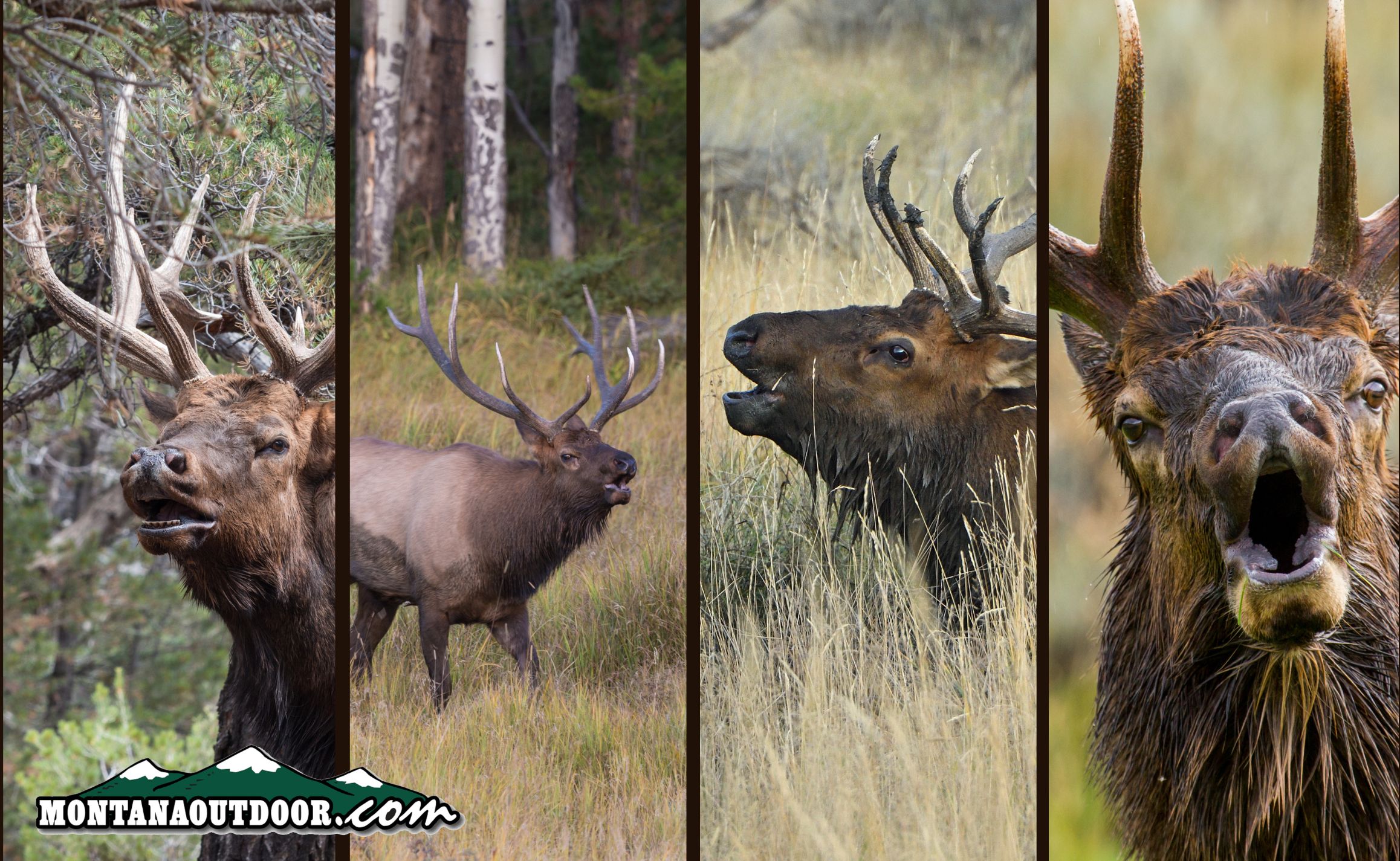 Motivation for Opening Weekend of Archery Season