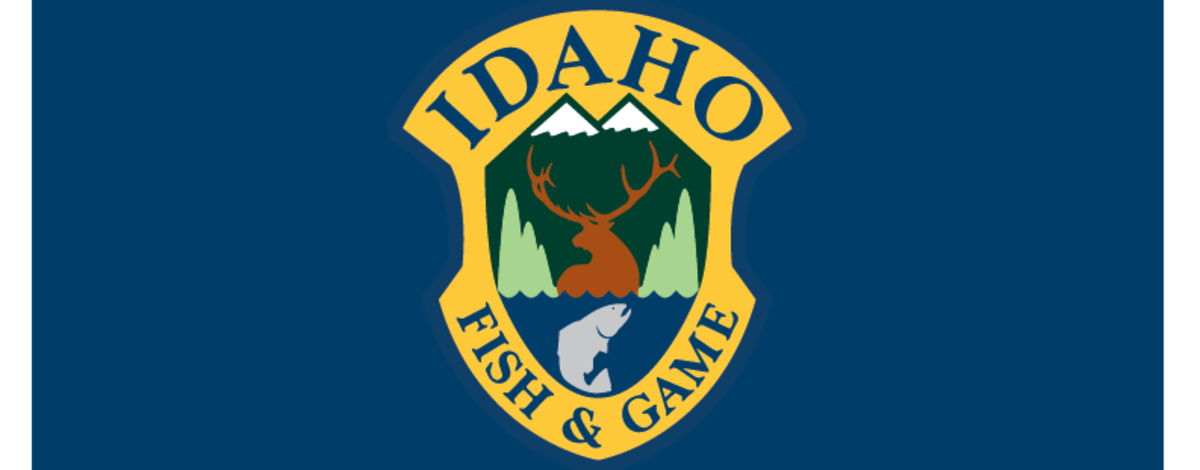 F&G reports loss of young chinook at McCall Hatchery