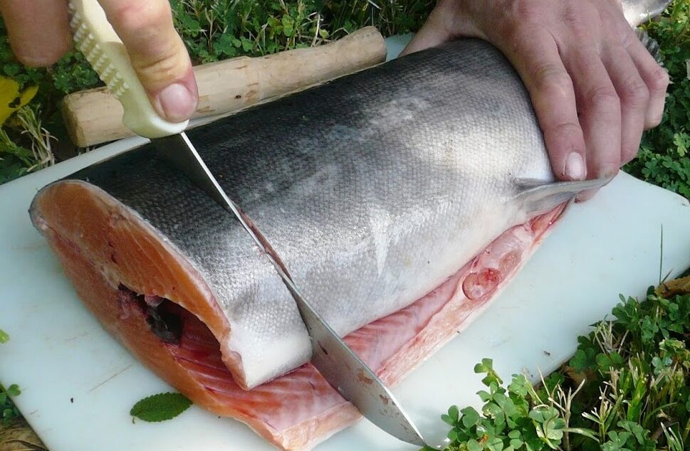 STEAK FISH!!! by Montana Grant