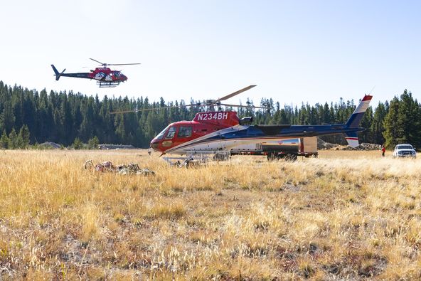 Search continues for man missing from Yellowstone National Park