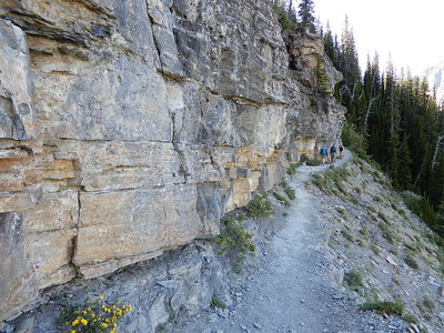 Section of Highline Trail closed due to bear encounter