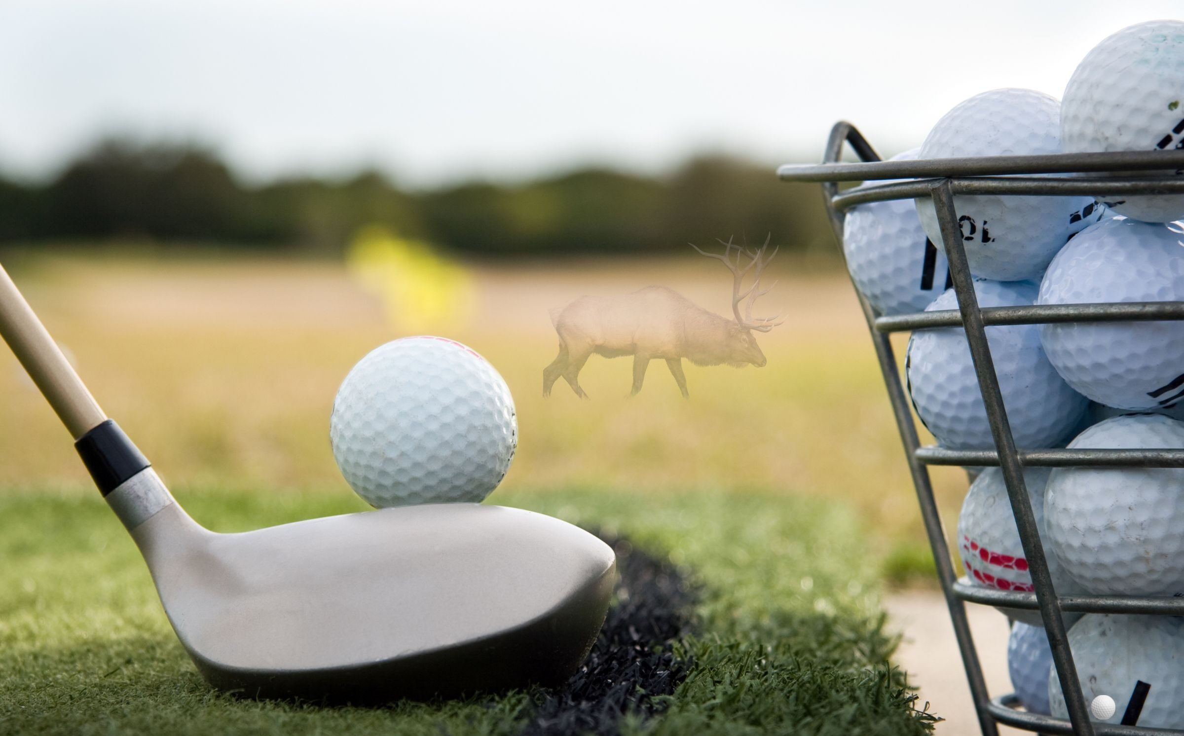 Respect the Range and Wildlife