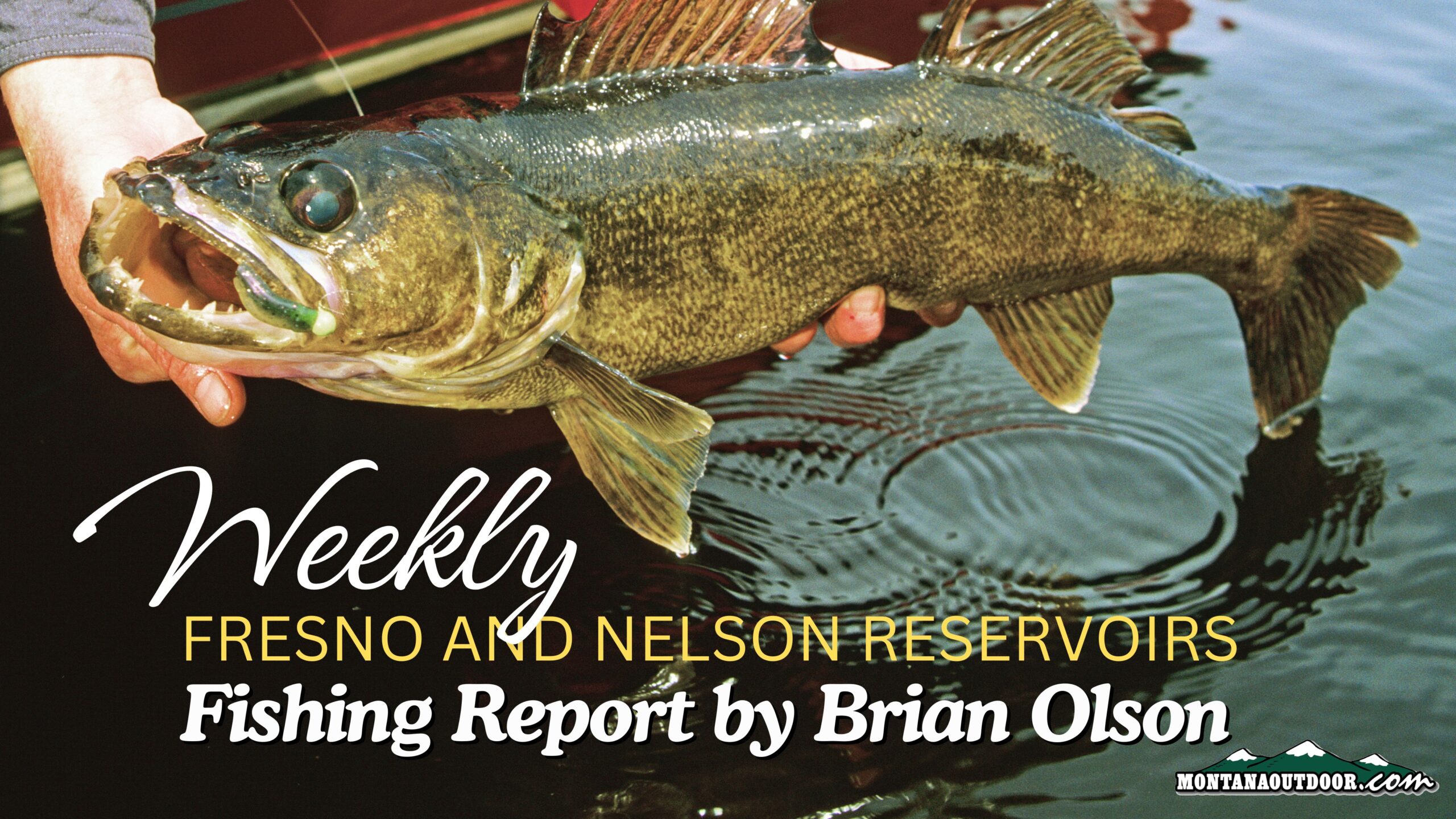 Fresno and Nelson Fishing Report by Brian Olson 11.7.24