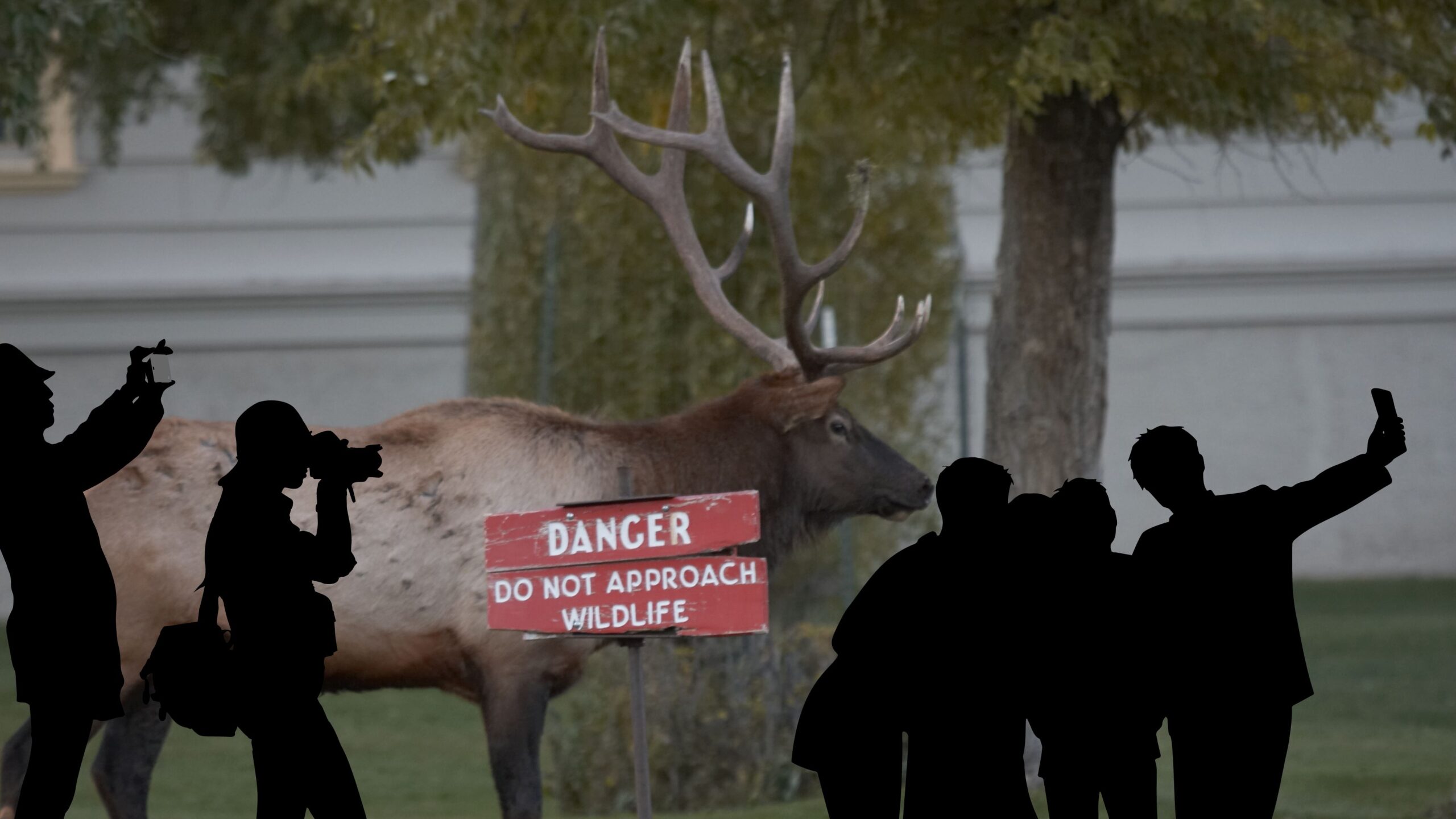 Just Trying to Get to Work…Or Is He?