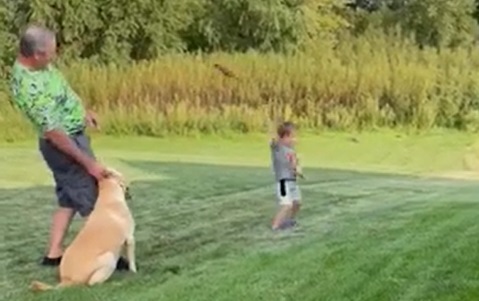 4-Year-Old Helps His Grandpa Train Dog