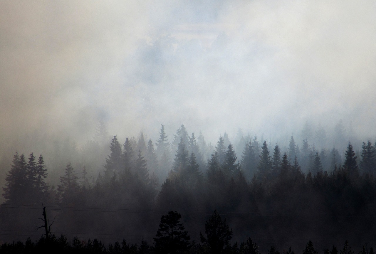 Skalkaho Highway closed due to wildfire