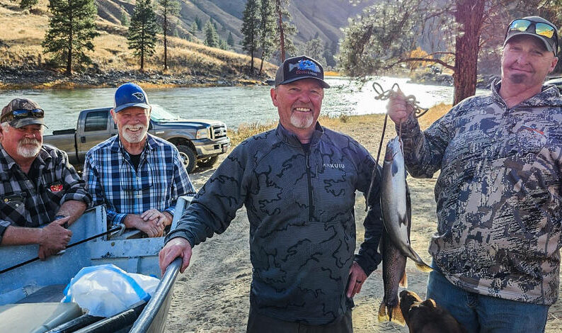 Upper Salmon River Fall 2024 Steelhead Fishing Update by IDFG 10.29.24