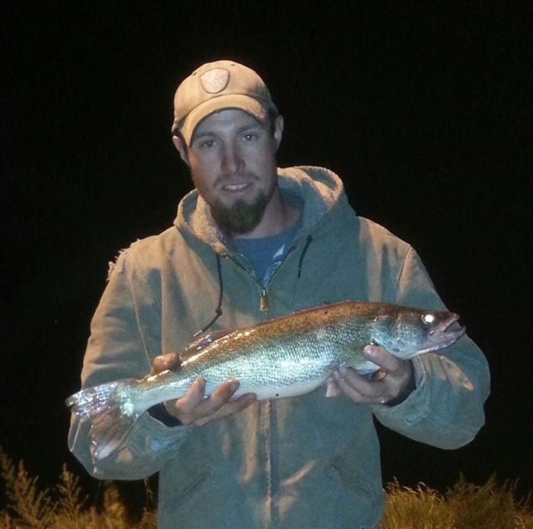 Gallatin County Sheriff’s Office requests assistance in homicide investigation