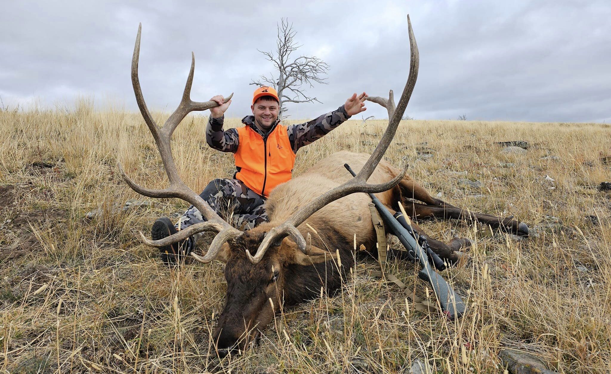 Big Bull Down!