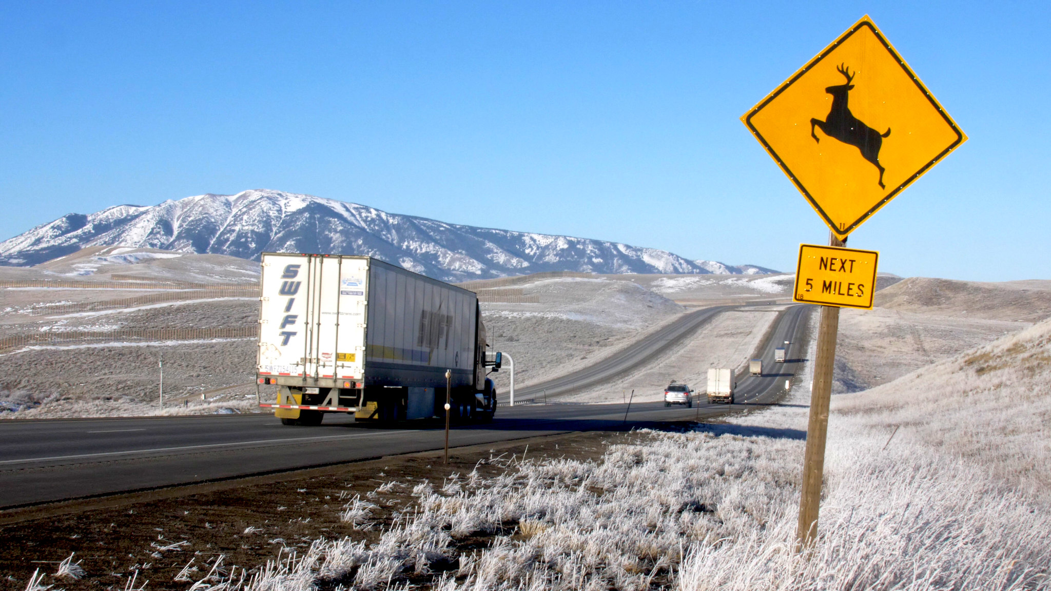 Brett French reports: Wildlife overpass engineer work funded