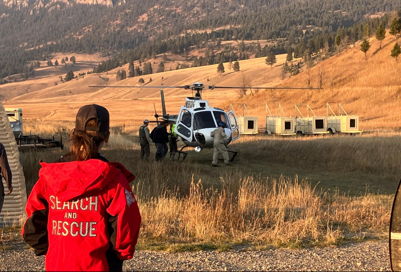 Hunter rescued after shooting grizzly, climbing tree